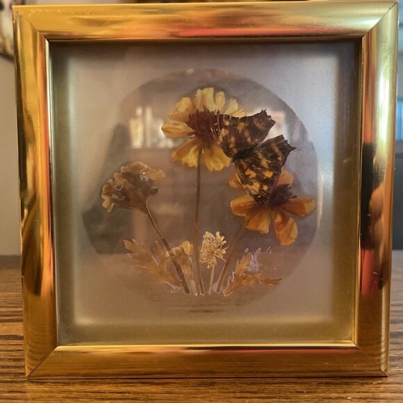 Vintage Framed Real Butterfly Taxidermy Dried  Flowers Diorama - Picture 1 of 7